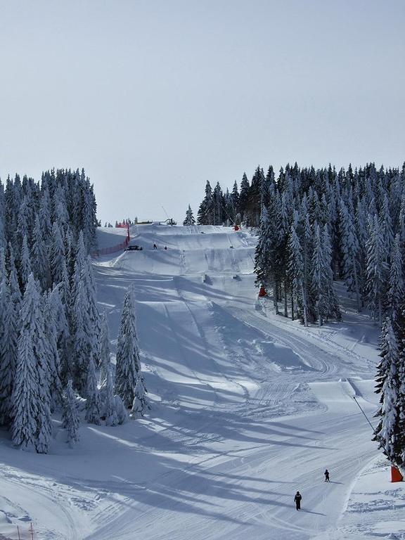 L&N Apartmani Kopaonik-Milmari Resort Exterior foto